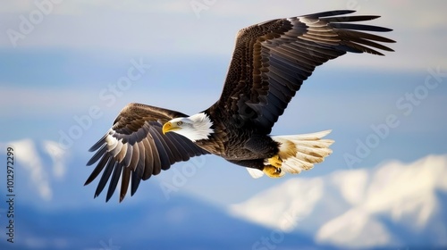 Majestic Bald Eagle in Flight