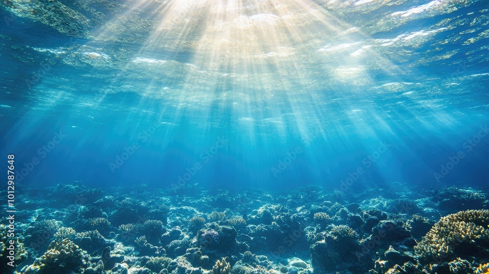 Clear blue underwater view with sunlight penetrating the water near South America. Plenty of space for text. Clear blue underwater view with sunlight penetrating the water near South America. Plenty of space for text.