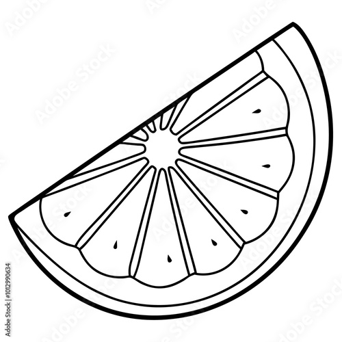 quarter slice citrus fruit outline coloring book page line art drawing