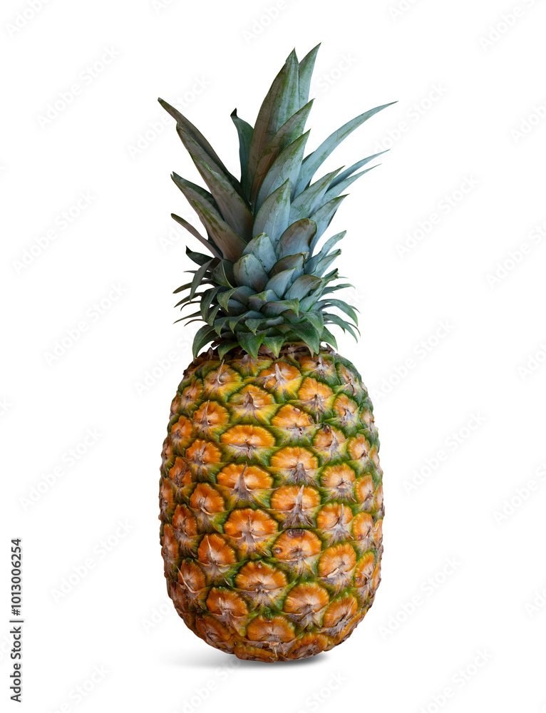 A fresh pineapple on a transparent background A fresh pineapple on a transparent background