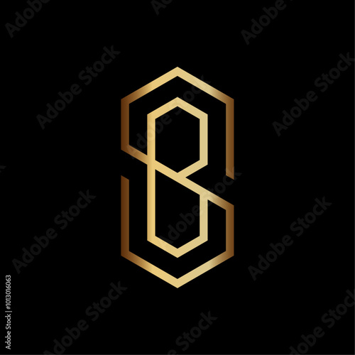 Geometric Luxury Initials SB or BS Logo Vector Illustration