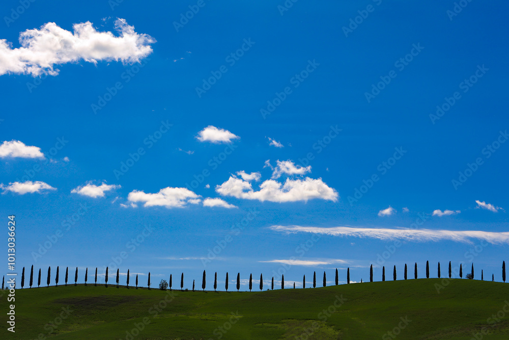 Obraz premium Toskania