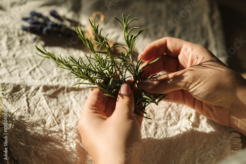 First person view of female hand uses natural twine to tie rosemary sprigs. Preparing fresh herbs for drying and spice use