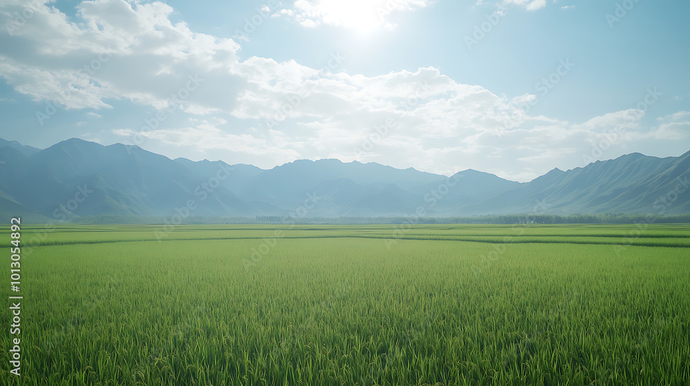 Fototapeta premium Lush green rice field under bright sky with distant mountains