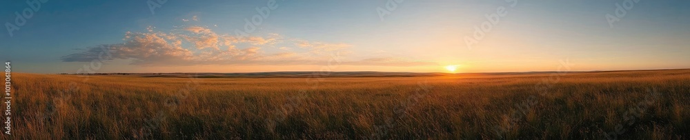 Serene Sunset Over a Wide Open Field Serene Sunset Over a Wide Open Field