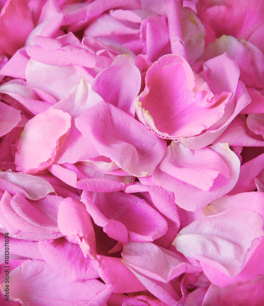 Natural background of rose petals Natural background of rose petals