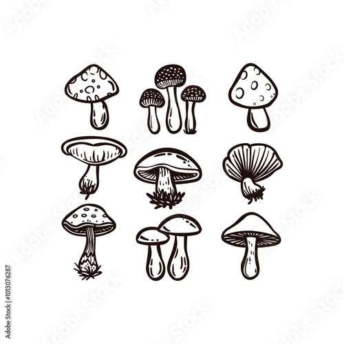Set of mushroom vintage design vector