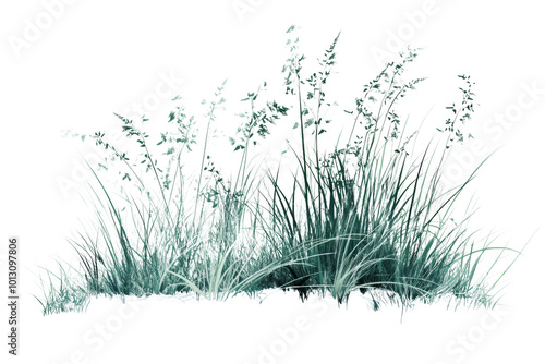 Wallpaper Mural Lush green grass with delicate flowers, perfect for nature-themed designs and eco-friendly projects. Torontodigital.ca