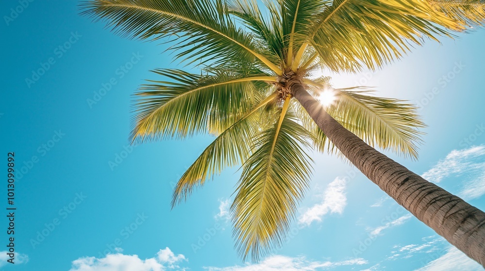 lush green palm tree swaying gently against a clear blue sky lush green palm tree swaying gently against a clear blue sky