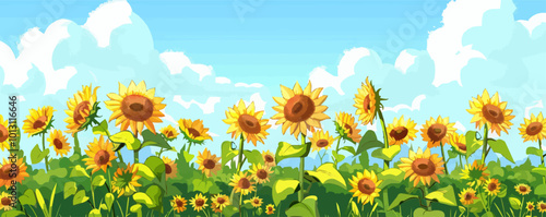 Beautiful sunflower field under a bright blue sky, flat, vector illustration, Sketch