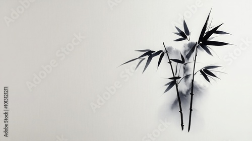 Black Ink Bamboo Painting on White Background photo