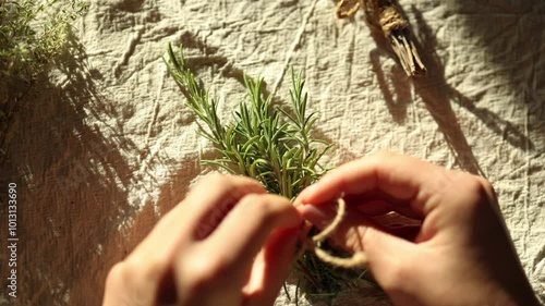 First person view of female hand uses natural twine to tie rosemary sprigs. Preparing fresh herbs for drying and spice use