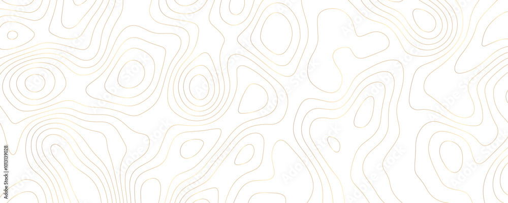 Modern Topographic Vector Design with Wavy Geometric Contours and Terrain Relief for Luxury Landscapes
Modern Topographic Vector Design with Wavy Geometric Contours and Terrain Relief for Luxury Landscapes