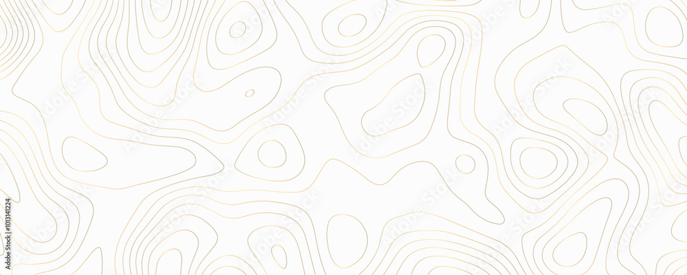 Abstract Vector Topography Background with Geometric Line Art and Wavy Contour Patterns for Modern Maps
Abstract Vector Topography Background with Geometric Line Art and Wavy Contour Patterns for Modern Maps