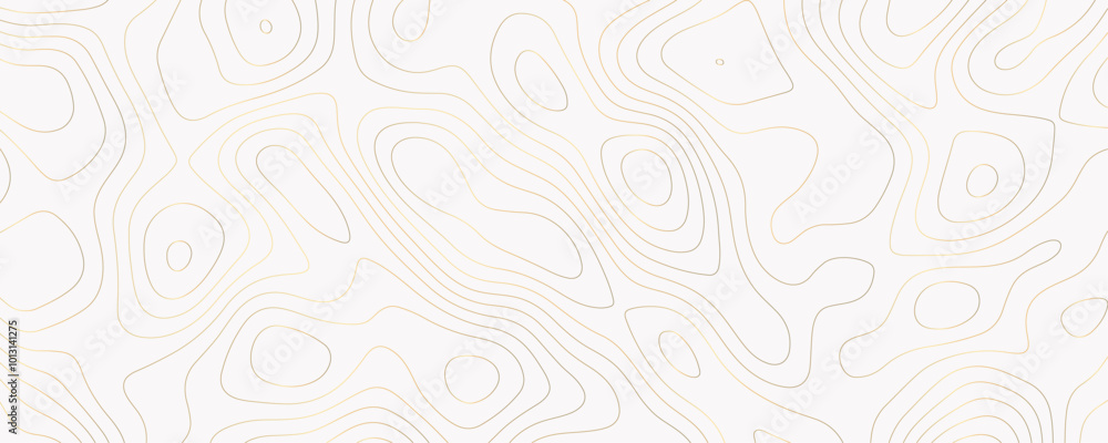 Abstract Vector Topography Background with Geometric Line Art and Wavy Contour Patterns for Modern Maps
Abstract Vector Topography Background with Geometric Line Art and Wavy Contour Patterns for Modern Maps