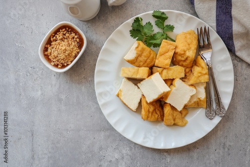 Fried tofu with dipping sauce in white plate on grey background, vagetarian food photo