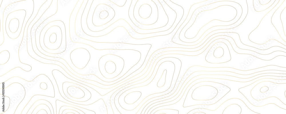 Geometric Topographic Vector Design with Wavy Contour Lines and Mountain Terrain for a Modern Landscape Illustration
Geometric Topographic Vector Design with Wavy Contour Lines and Mountain Terrain for a Modern Landscape Illustration
