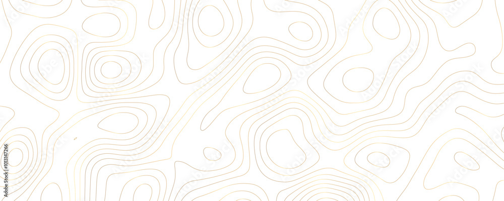 Topographic Map Illustration with Geometric Line Art and Mountain Terrain for a Modern Landscape Design
Topographic Map Illustration with Geometric Line Art and Mountain Terrain for a Modern Landscape Design