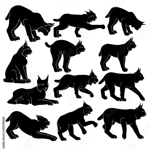 Lynx Silhouette Vector Set