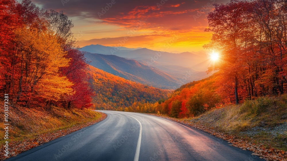 Black Asphalt Road Landscape at Sunset Surrounded by Nature Black Asphalt Road Landscape at Sunset Surrounded by Nature