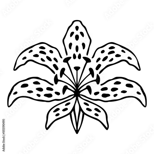 Vector sketch of symmetric lily flower. Hand drawn botanical element isolated on white background.