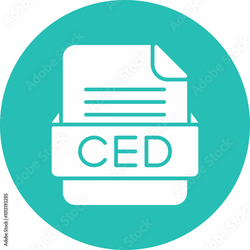 CED File Format Vector Icon Design photo