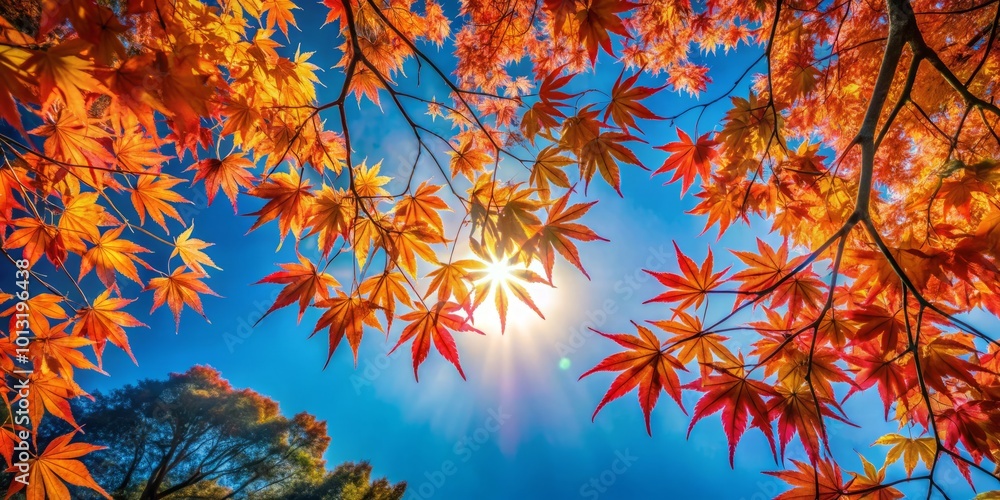 Lively fall scene highlighting Japanese maple branches set against a brilliant blue sky, perfect for seasonal and Lively fall scene highlighting Japanese maple branches set against a brilliant blue sky, perfect for seasonal and