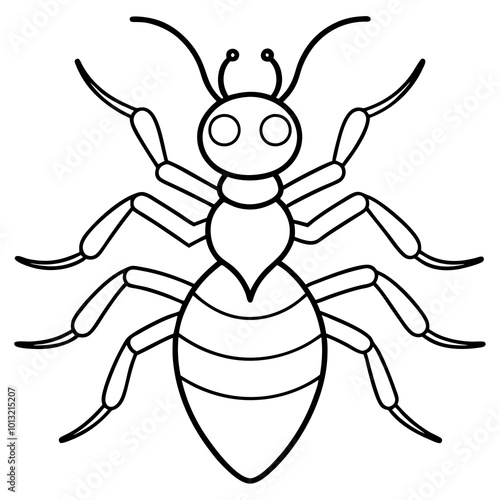 spider isolated on white