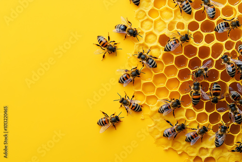 A group of bees are gathered around a honeycomb photo