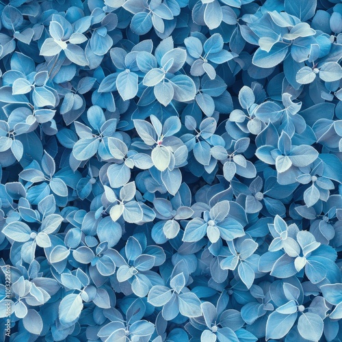 Close-up of tiny leaves forming a winter wall, covered in frost, pale blues and whites, soft winter sunlight creating a serene mood. photo