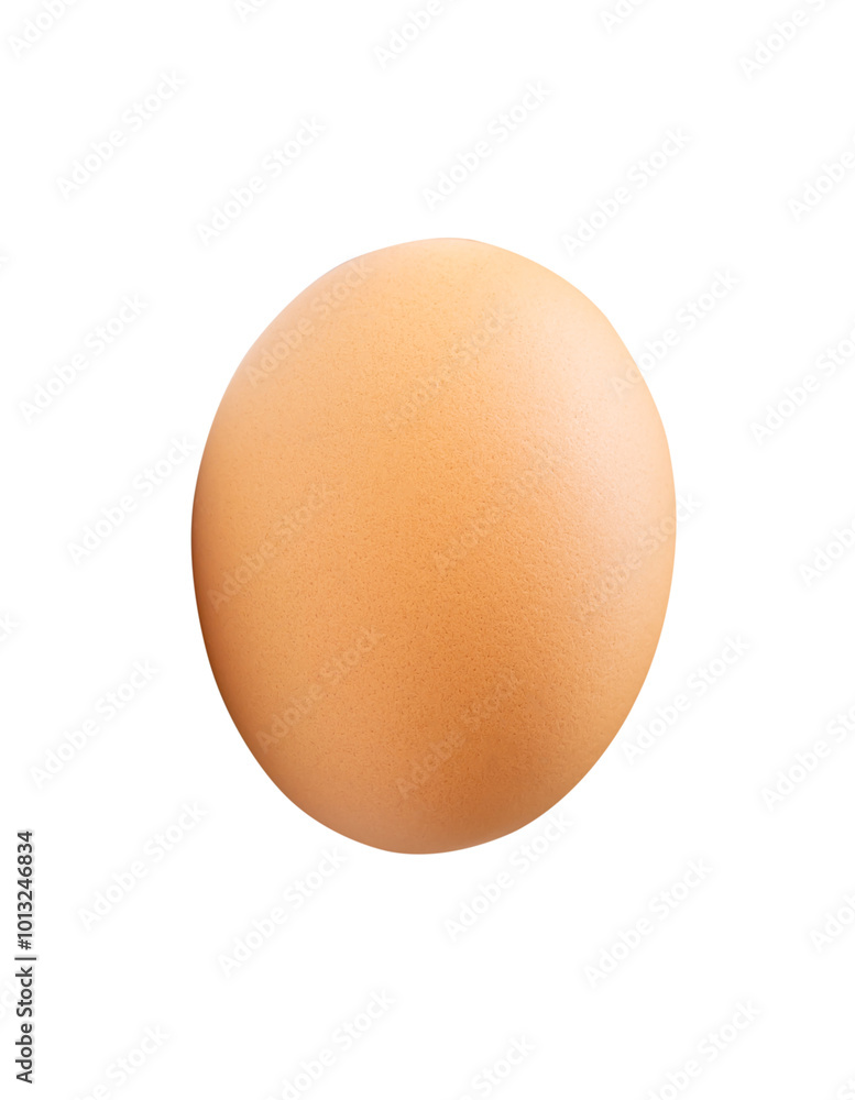 Top view of single brown chicken egg isolated on white background with clipping path Top view of single brown chicken egg isolated on white background with clipping path