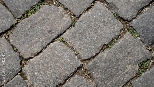The texture of the stones. Paving stones on Red Square in Moscow