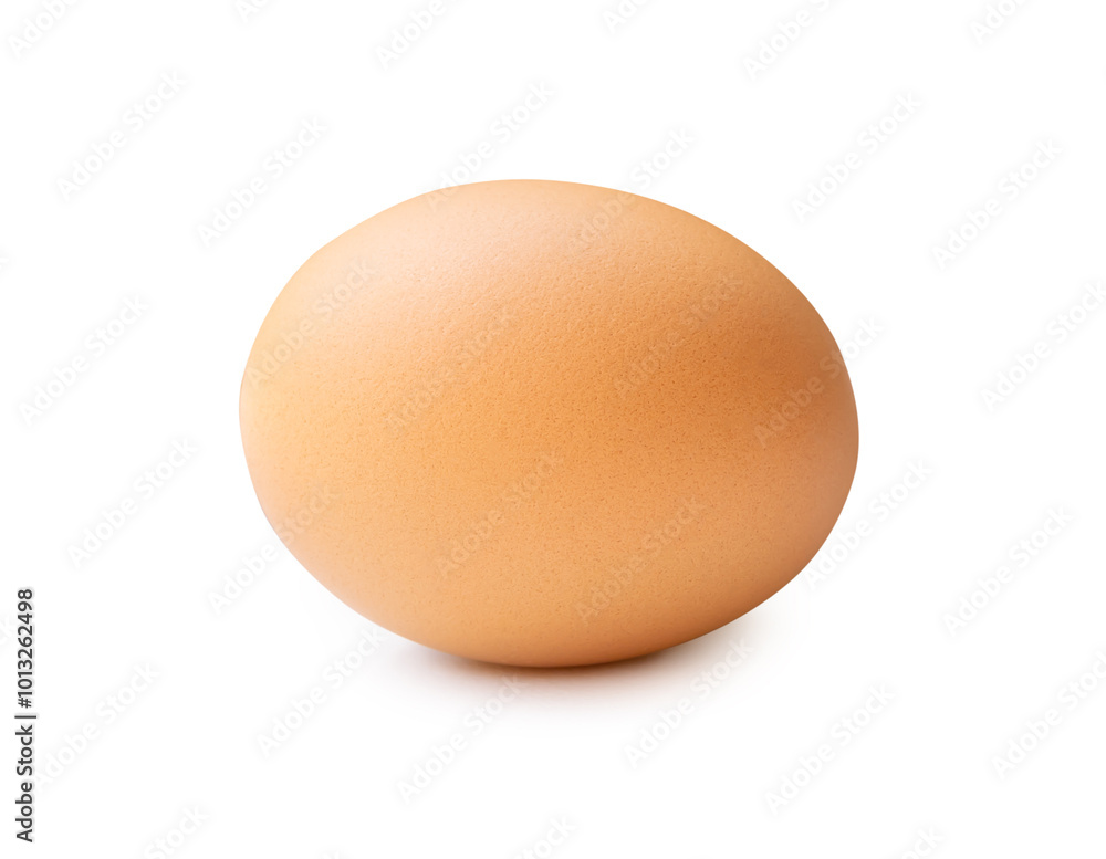 Side view of single brown chicken egg isolated on white background with clipping path Side view of single brown chicken egg isolated on white background with clipping path