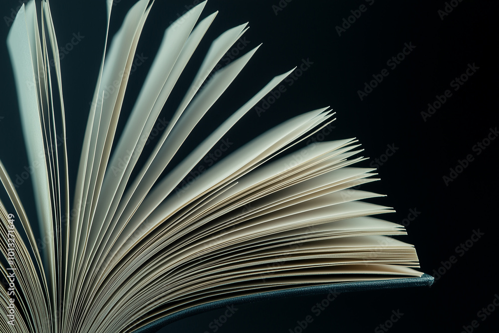 Close-Up of Open Book Pages Side View Close-Up of Open Book Pages Side View