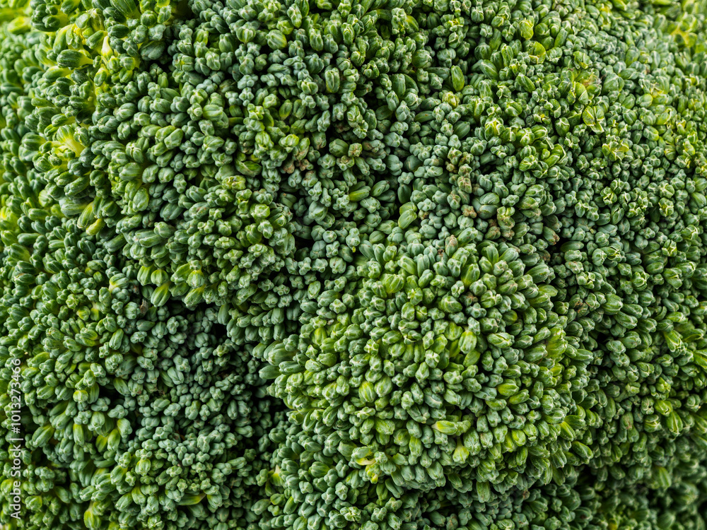 Close-up of fresh organic broccoli against a background of greenery symbolizing health and nutrition Close-up of fresh organic broccoli against a background of greenery symbolizing health and nutrition