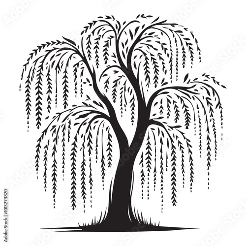 Willow Tree Vector illustration in black and white - Willow Plant Clipart Design

