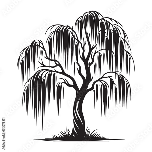 Willow Tree Vector illustration in black and white - Willow Plant Clipart Design

