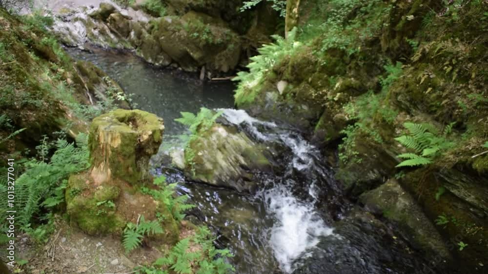 Waterfall in Enderttal near Cochem Waterfall in Enderttal near Cochem