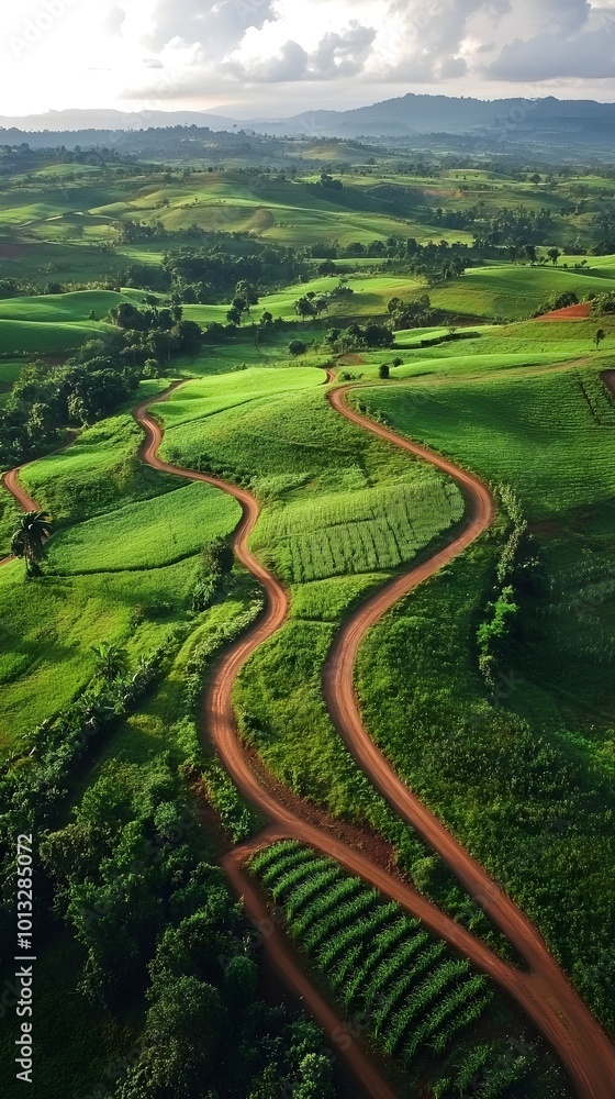 Obraz premium An aerial view of a vast green countryside with patches of farmland and winding dirt roads, showcasing the beauty and diversity of agricultural landscapes