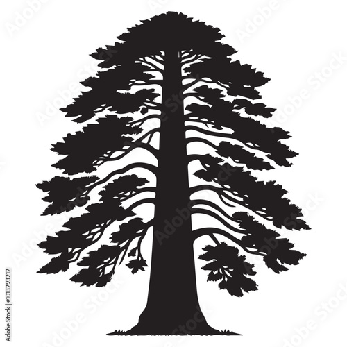 Redwood Tree Vector illustration in black and white - Sequoioideae Plant Silhouette Design
