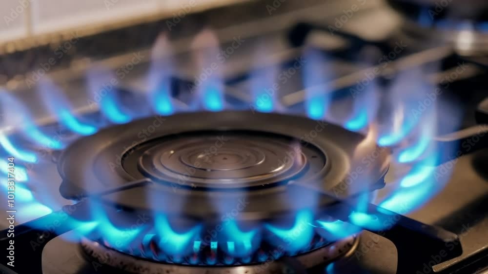 Natural Gas is burning in gas-stove in the kitchen. Concept of problems with natural gas in European union, rising gas prices. 4k footage
Natural Gas is burning in gas-stove in the kitchen. Concept of problems with natural gas in European union, rising gas prices. 4k footage