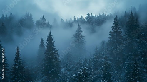 A snow-clad forest enveloped in fog, lit faintly by the night sky. Cold, quiet, and filled with mystery.