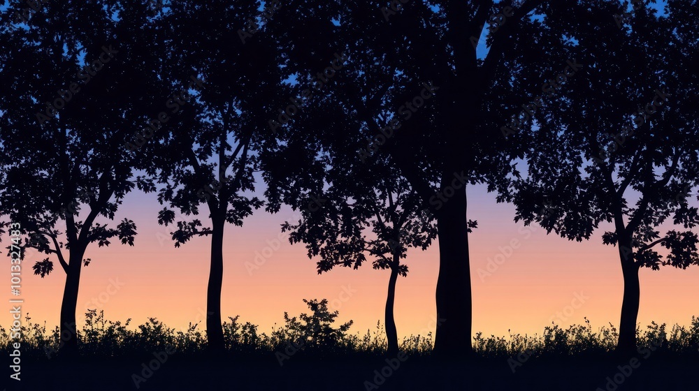 Silhouette of trees at dusk with a gradient sky for wall frame mockup. Silhouette of trees at dusk with a gradient sky for wall frame mockup.