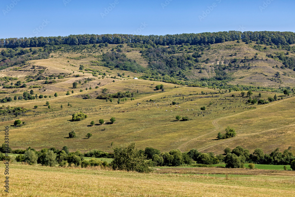 Fototapeta premium The landscape of romania at viscri