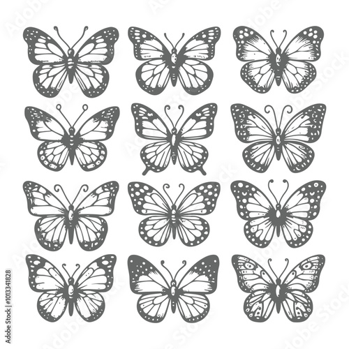 Ethereal Beauty Hand Drawn Butterfly Illustration Collection