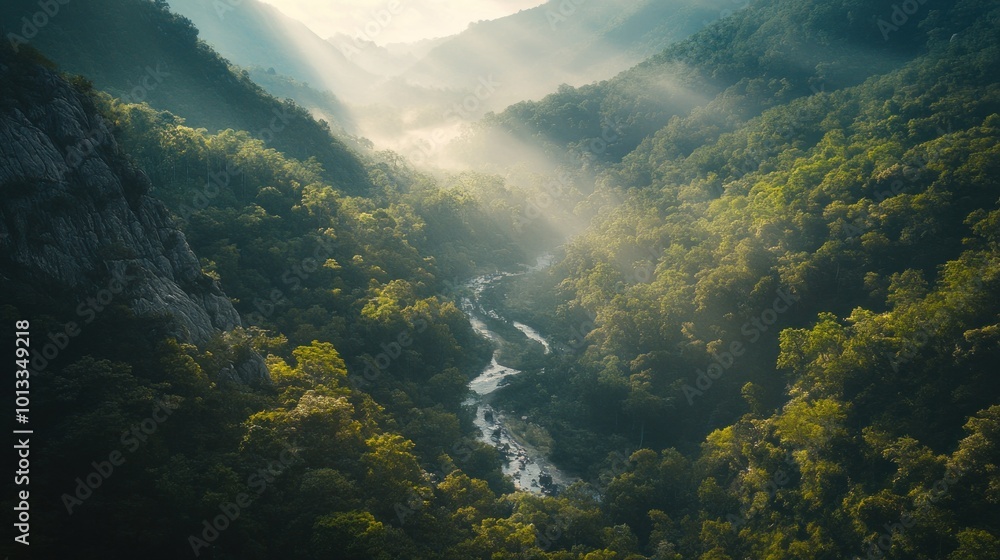Aerial View of a River Winding Through a Lush Forest Aerial View of a River Winding Through a Lush Forest