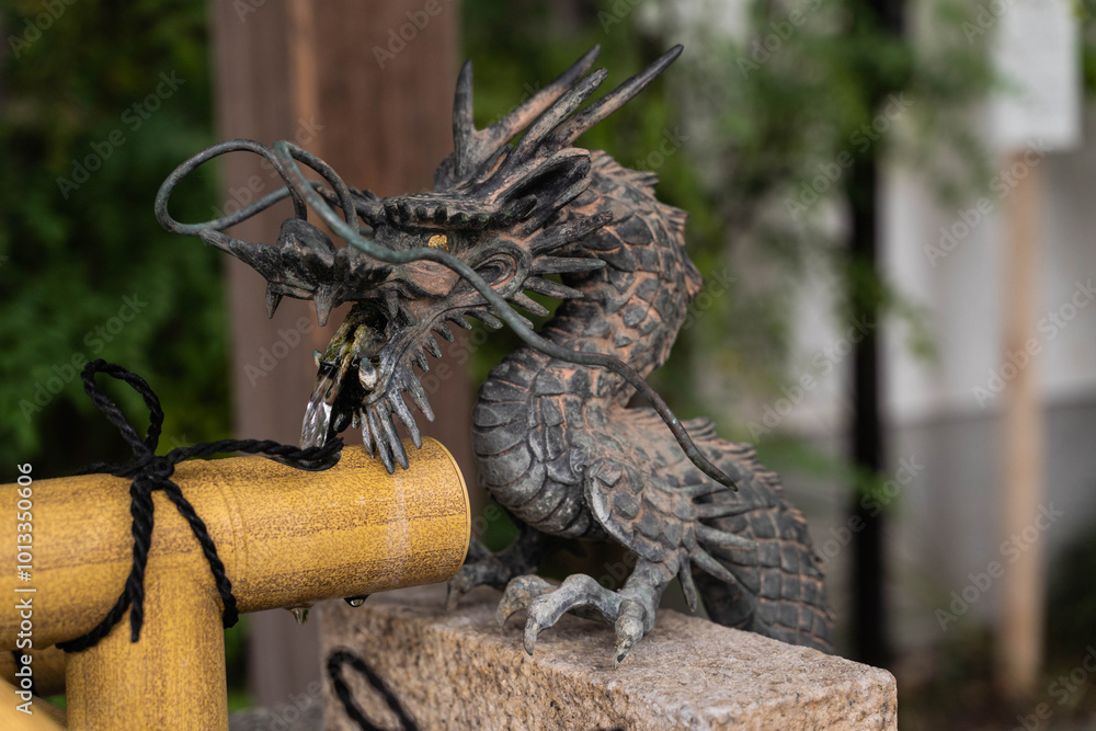 Obraz premium dragon bronze statue