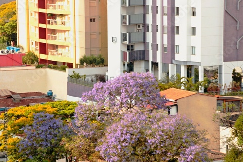 Canvastavla Modern apartment buildings in middle flourished trees