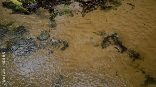 Sandy, yellow river bottom. Crystal clear water