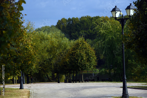 Obraz na płótnie Street lamp in the park w salonie